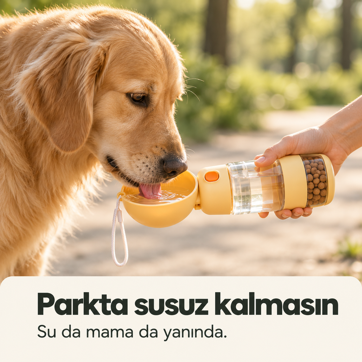 Taşınabilir Su ve Mama Kabı – Seyahat ve Yürüyüş Şişesi